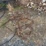 Rebar & Rebar mesh Image 2