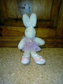 Bunny teddy