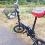 ladies fiido ebike Image 2