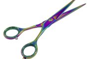 Professional Hairdressing Scissors Barber Salon Hair Cutting RAZOR Sharp Blades 6"