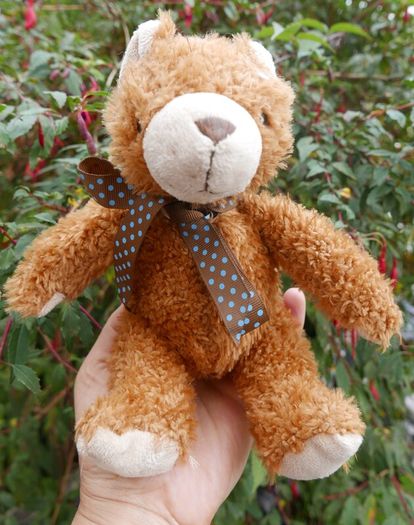 Vintage Teddy Bear