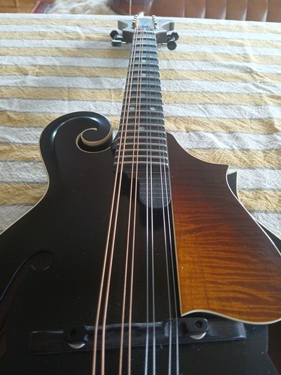 Coostar F5 Mandolin