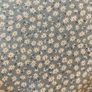 Floral dress (XS) Image 6