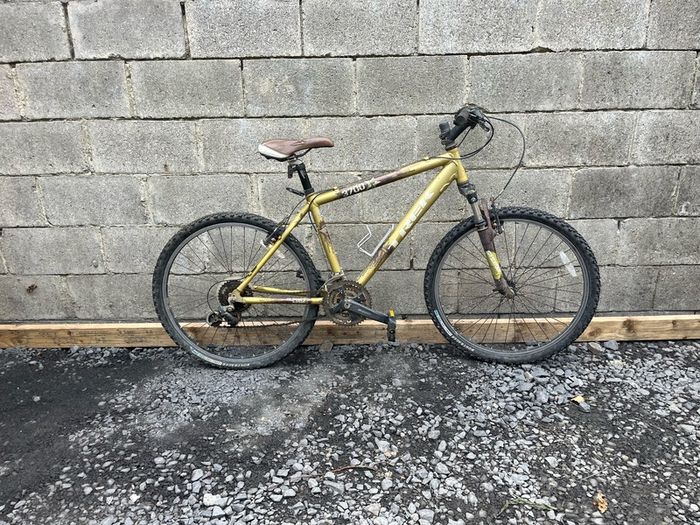 Trek Mountain Bike