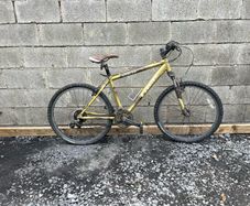 Trek Mountain Bike