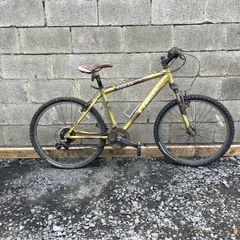 Trek Mountain Bike
