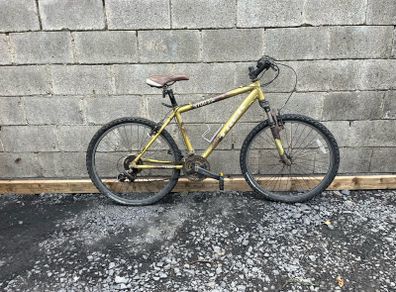 Trek Mountain Bike