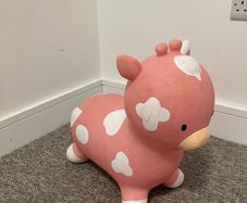 Bouncy Rubber Pig