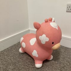 Bouncy Rubber Pig