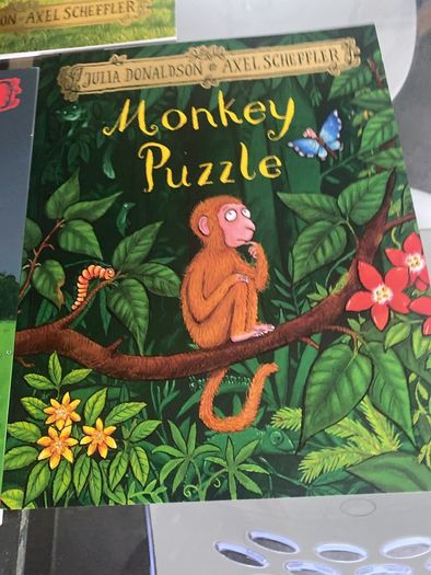 New Selection of Large Soft Cover Julia Donaldson & Axel Scheffler Children's Books