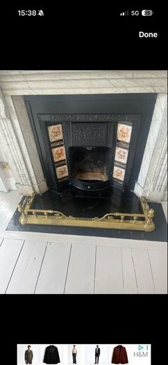 Ornate Vintage Brass Fire Fender