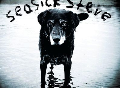 Seasick Steve. You Can't Teach An Old Dog New Tricks. CD. Free Postage!