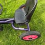 berg go kart buddy Image 6