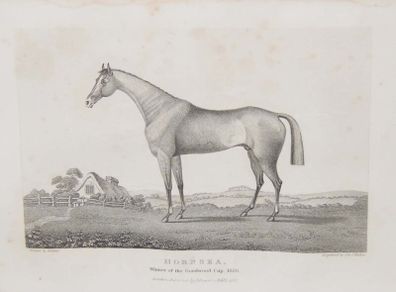 Hornsea Winner Of The Goodwood Cup 1836