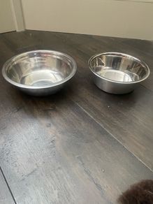 Dog Bowls