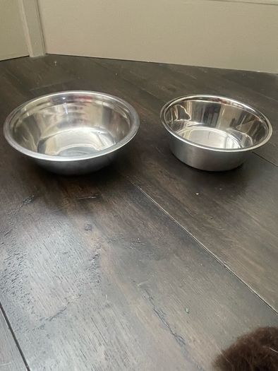 Dog Bowls