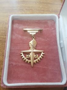 1951 Festival of Britain Brooch