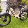 e bike Image 2