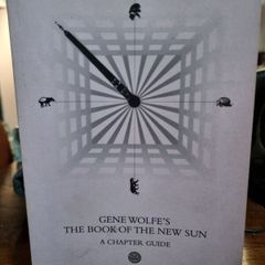The book of the new sun: a chapter guide - Michael Andre Driussi