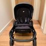 Buggy Image 8