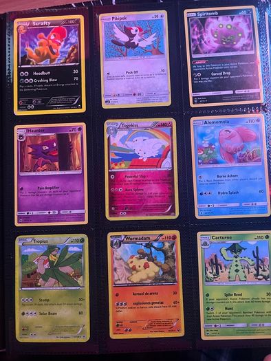 Pokemon Card Collection
