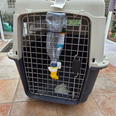 Dog Travel Crate