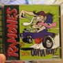 Ramones x 10 albums Image 6