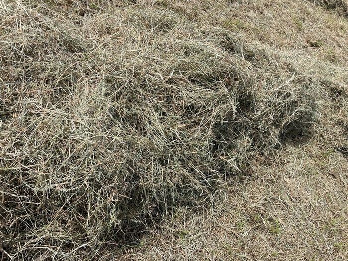 Square bales of hay North Galway