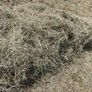 Square bales of hay North Galway Image 6
