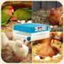 64-Egg Fully Automatic Incubator with Auto Turning and LED Egg Candler Image 9