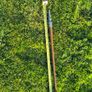 Vintage Turton Lansdowne Folding Shooting Stick Seat Cane Image 7