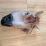 horse mask Image 2