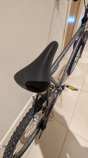 Raleigh bike