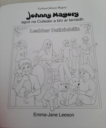 New Gaeilge book