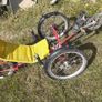 Electric Trike Image 3