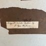Antique Signed water colour Image 4