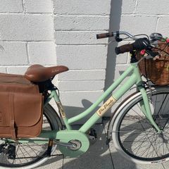 Lovely Ladies Bike
