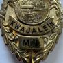 Genuine Rare Lieutenant Deputy Sheriff Badge Image 3