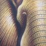 Golden elephant acrilic painting Image 3