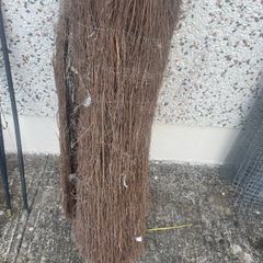 Roll of garden screening