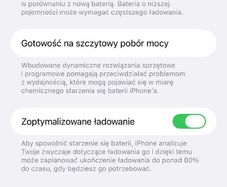 iPhone 14 PRO MAX 256 GB mint!