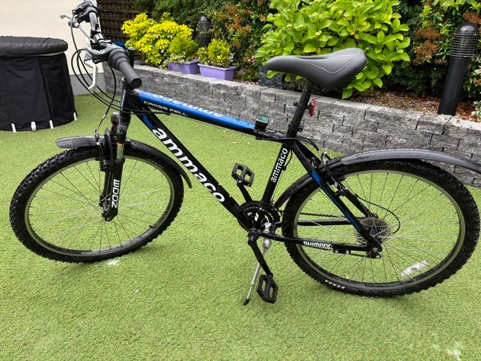 Mens Mountain Bike