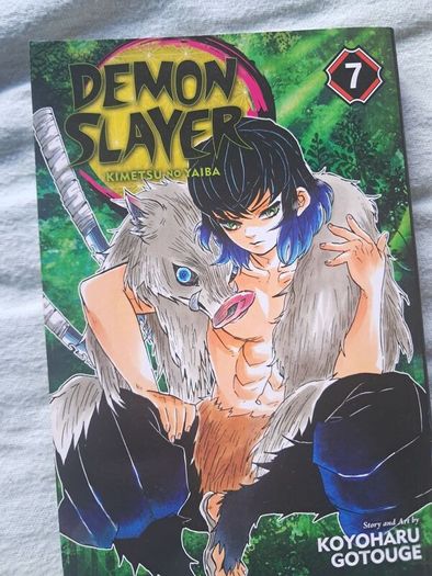 demon slayer vols 1-9