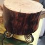 Tree stump Image 2