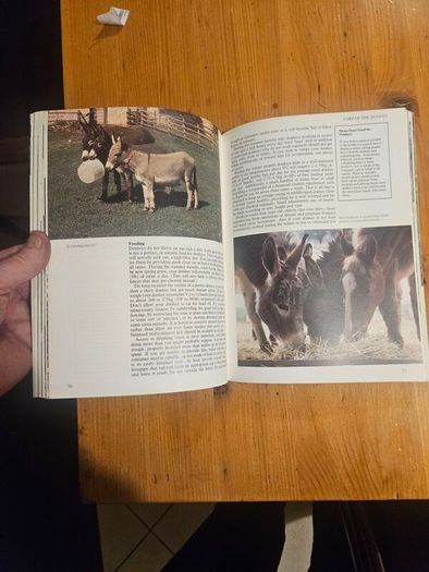 A Passion For Donkeys. By Dr Elizabeth D. Sevendsen. Large Volume Paperback In Good Condition.  See Photos For Same.