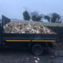 Kiln dried firewood Image 6