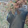 Mk5 golf/Jetta parts Image 4