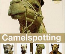 Camelspotting. CD. Free Postage!