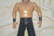 The great Khali