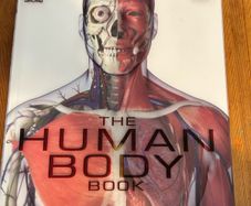 Human Body book